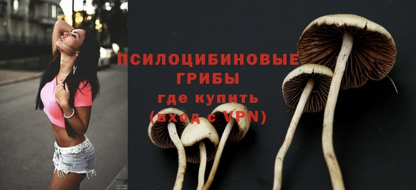 дживик Ачинск
