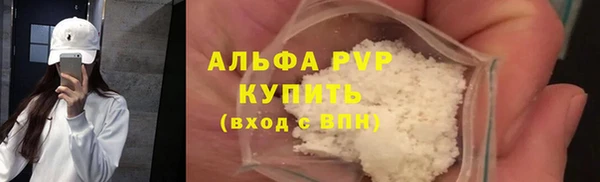 индика Артём