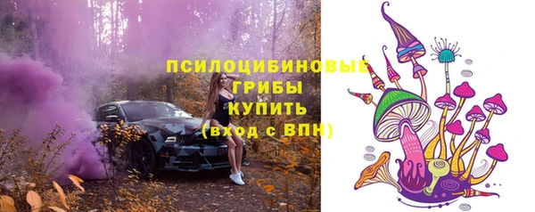 таблы Бердск
