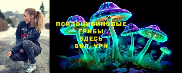 индика Артём