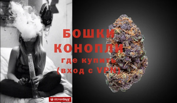 дживик Ачинск