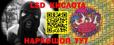 альфа пвп Берёзовский