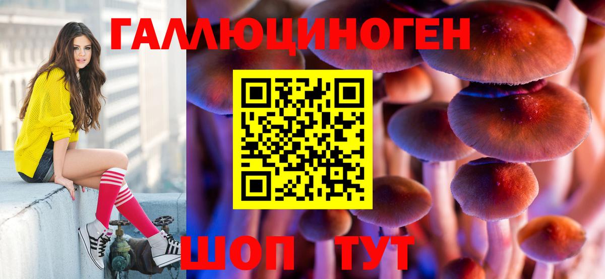 Псилоцибиновые грибы прущие грибы  Галлюциногенные грибы прущие грибы  Дюртюли 