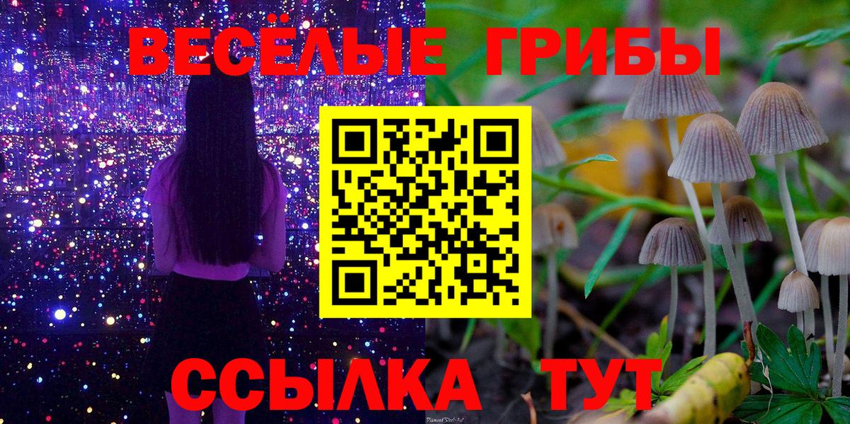 Псилоцибиновые грибы Magic Shrooms  Вход с VPN  Дюртюли  Галлюциногенные грибы MAGIC MUSHROOMS 