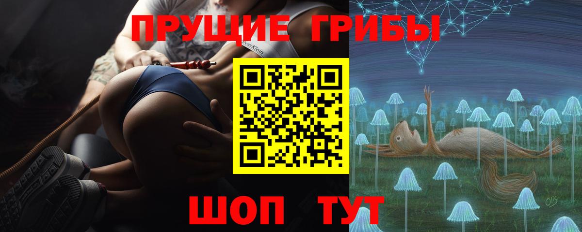 Псилоцибиновые грибы Cubensis Дюртюли